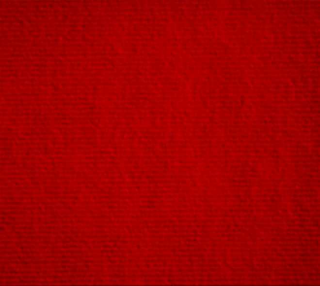 2117 Bayrak Kırmızı