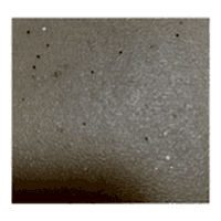 HETEROJEN COMPACT PVC 40082 FORBO COMPACT ETERNAL 2 MM 0,70