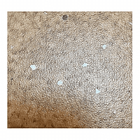 HETEROJEN COMPACT PVC 2509 FORBO COMPACT 2 5,70