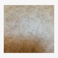 HETEROJEN COMPACT PVC 4546-263-4 GRABO TOP 2 MM 0,70