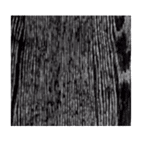 LVT PVC M3065-4 ENJOY CLICK (4.00 MM 0,55) 15x93,50 2,5245 M2